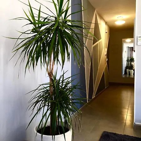 Apartment Apartamento Vitaly